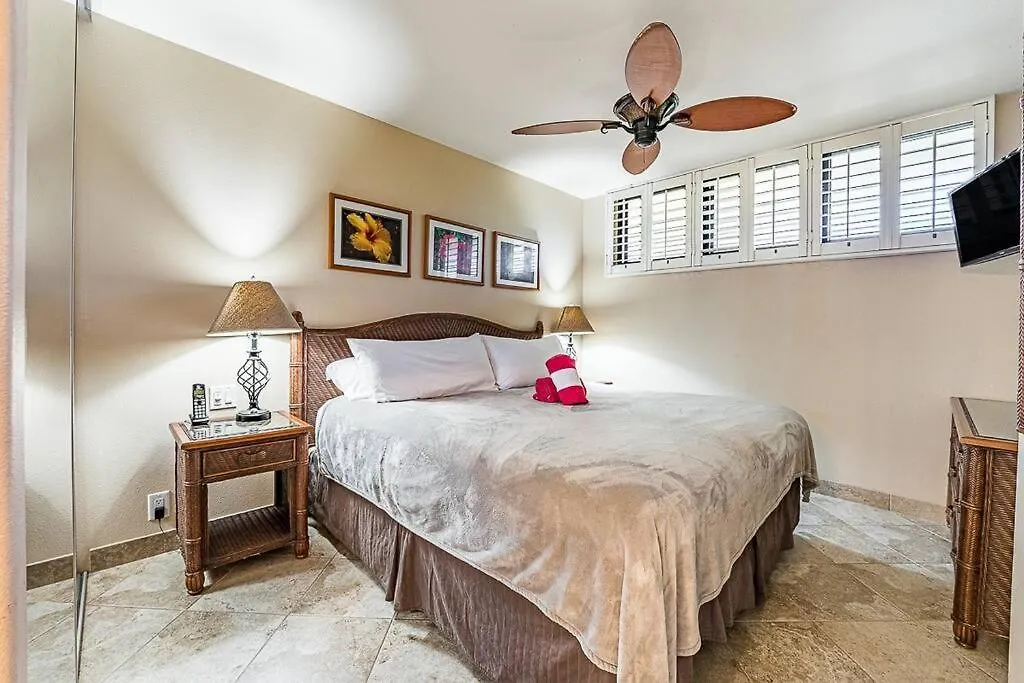 Spectacular Oceanfront Views With Split Ac -Wailea Villa Wailea